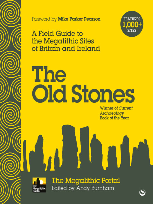 Title details for The Old Stones by Andy Burnham - Wait list